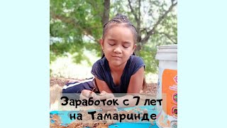 Олеся зарабатывает с 7 лет. Сбор тамаринда. Таиланд сегодня.