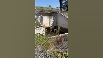 Soil Erosion Control#erosion