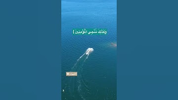 تلاوة القرآن | سورة الأنبياء | #أذكاري