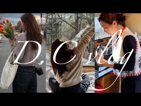 D.C여행 vlog. Get away캠핑 영상 디씨 한달살기. 언제 또 와보려나🥺🤍