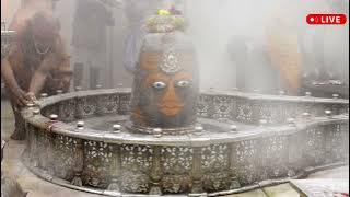 Shiv Tandav Stotram | Bhasma Aarti Mahakaleshwar Ujjain Madhya Pradesh #ujjain #mahakaleshwar #song