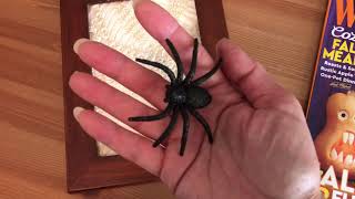 Spider web frame tutorial