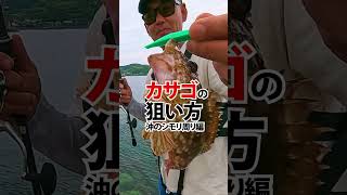 カサゴの狙い方／沖のシモリ周り編 #ドリームアップ #倉本啓二 #リーンシャッド