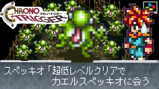 遭遇率0.1%以下の激レアモンスター【クロノトリガー】超低レベルクリア