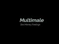 multimale ~ sex money feelings die