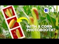 How This Photo Booth Could Save Corn