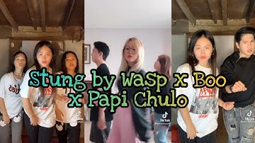 Stung by Wasp x Boo x Papi Chulo (Tiktok Dance Compilation)