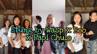 Stung by Wasp x Boo x Papi Chulo (Tiktok Dance Compilation)