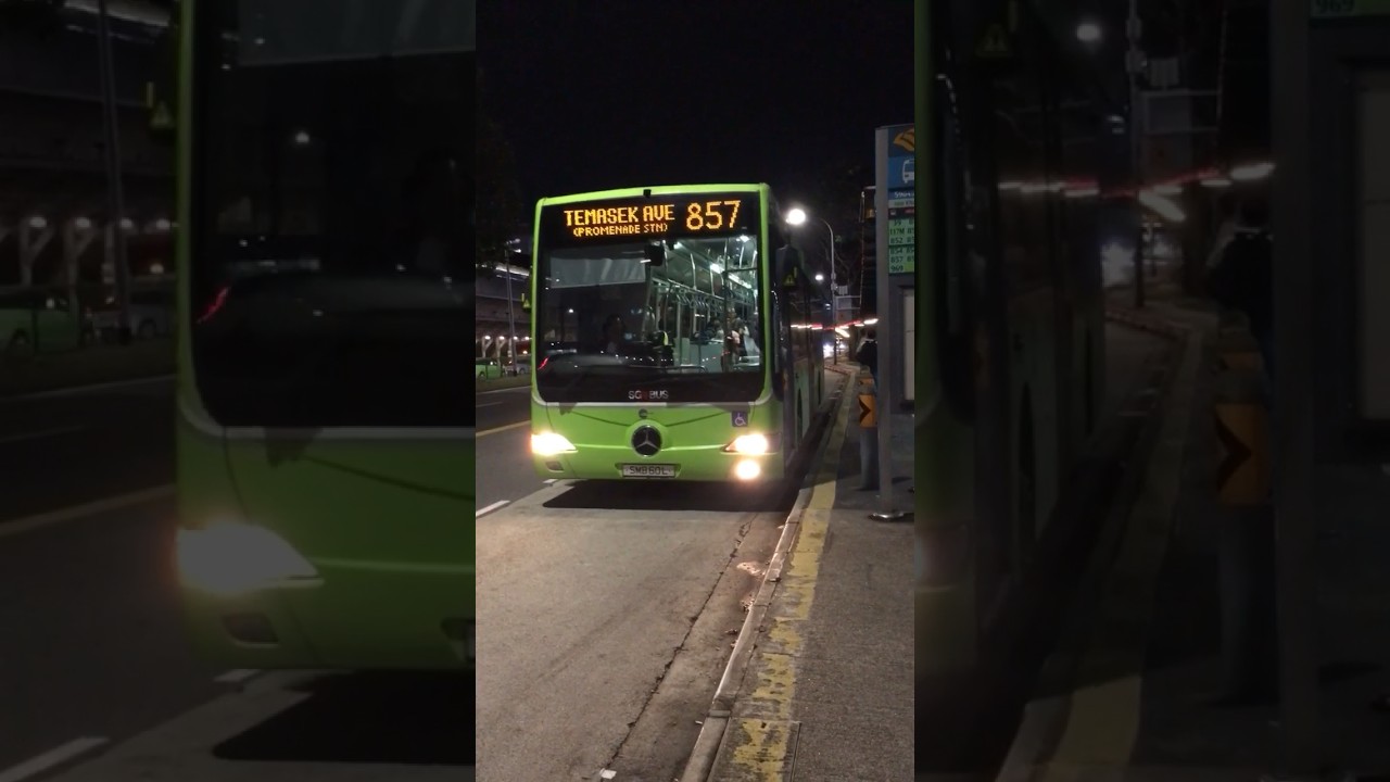 SMB 60L arrival 🚌 