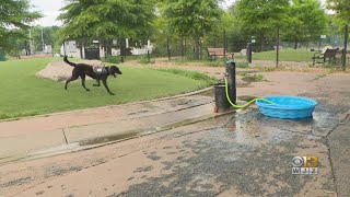 Extreme heat triggers 'Code Red' alert in Baltimore City