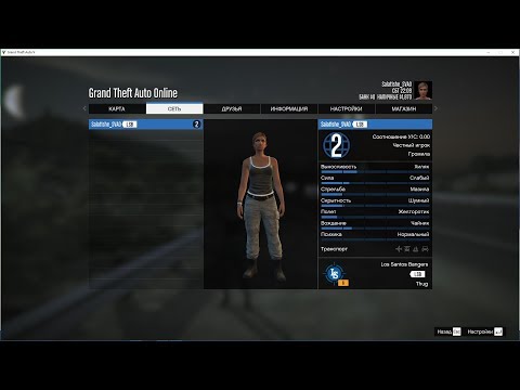 🚩 GTA 5