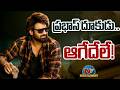 Prabhas Upcoming Movies Shooting Updates ? | #Spirit | #Fauzi | #Kalki2 | NTV ENT
