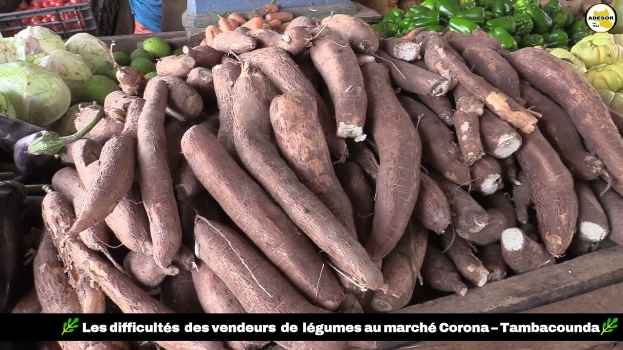 🌿 Les difficultés des vendeurs de légumes au marché Corona – Tambacounda 🌿