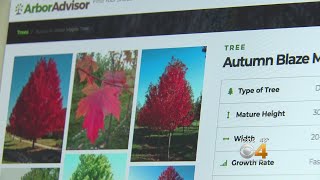 A Colorado Man Is Hoping His New Website Can Help Novices With Planting Trees Along The Front Range.