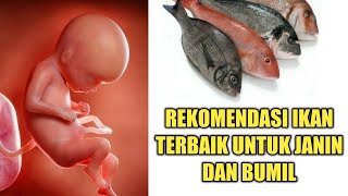 Rekomendasi Jenis Ikan Terbaik untuk Perkembangan Janin dan Ibu Hamil