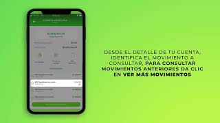 Consulta De Recibos De Transferencias Desde Óvilplus