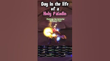 Day in the Life of a Holy Paladin