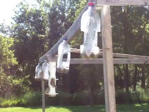 Unique 2 Liter Bottle Bird Feeders The Birds Love Them Youtube