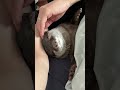 Belle Feels Safest Next to Dad