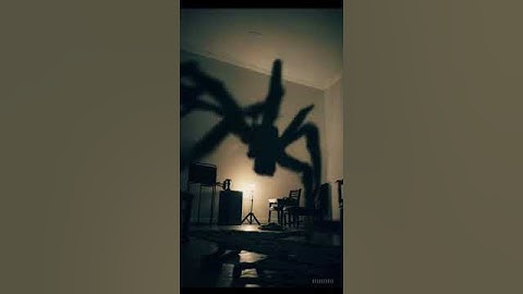 Spider Shadow