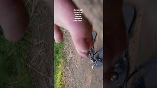Asmr Barefoot Walk Dirty Feet And Grounding In Nature