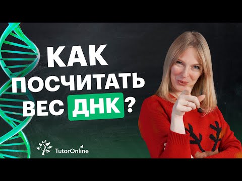 Видео: Pg нь пикограмм гэсэн үг үү?