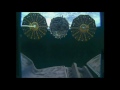 Successful Commercial Space Station Supply Mission Concludes