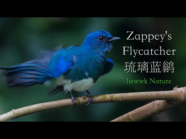 Jinsiy aloqa uchun tanishish