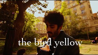 the bird yellow - too late mama & everything moves (smallsongs + a conversation)