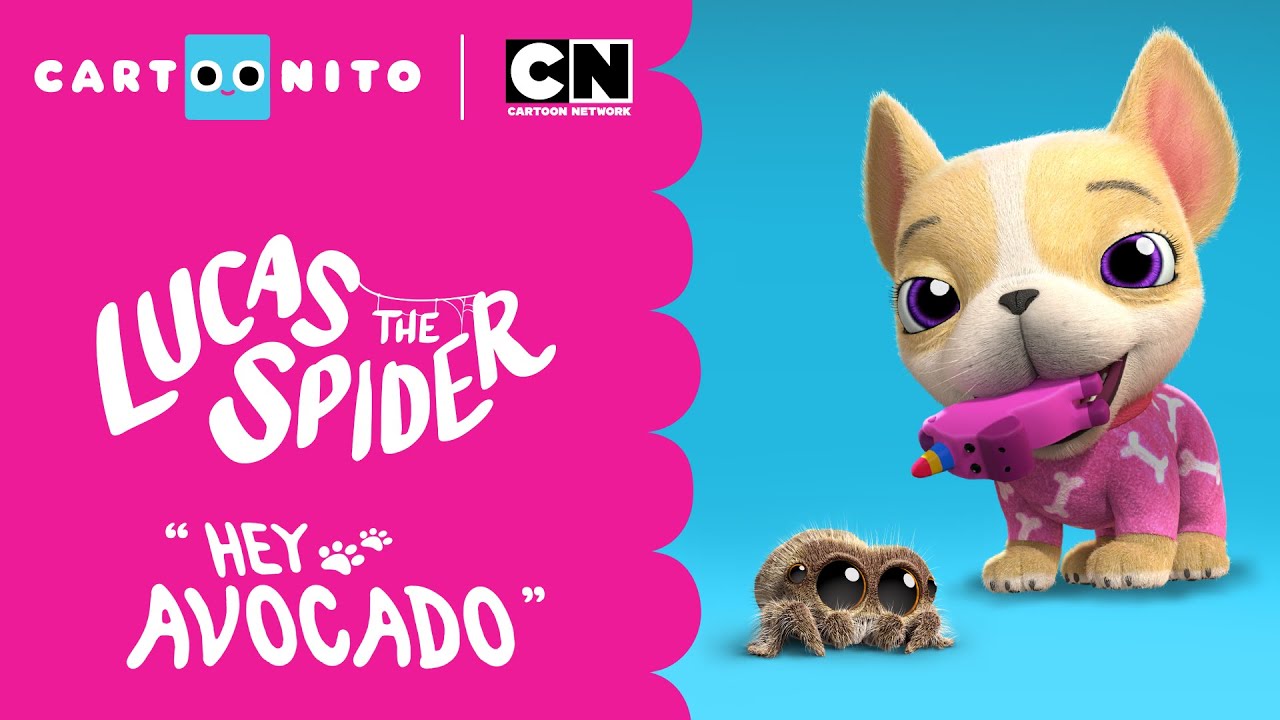 Lucas the Spider – Hey Avocado the Dog ™ - Short