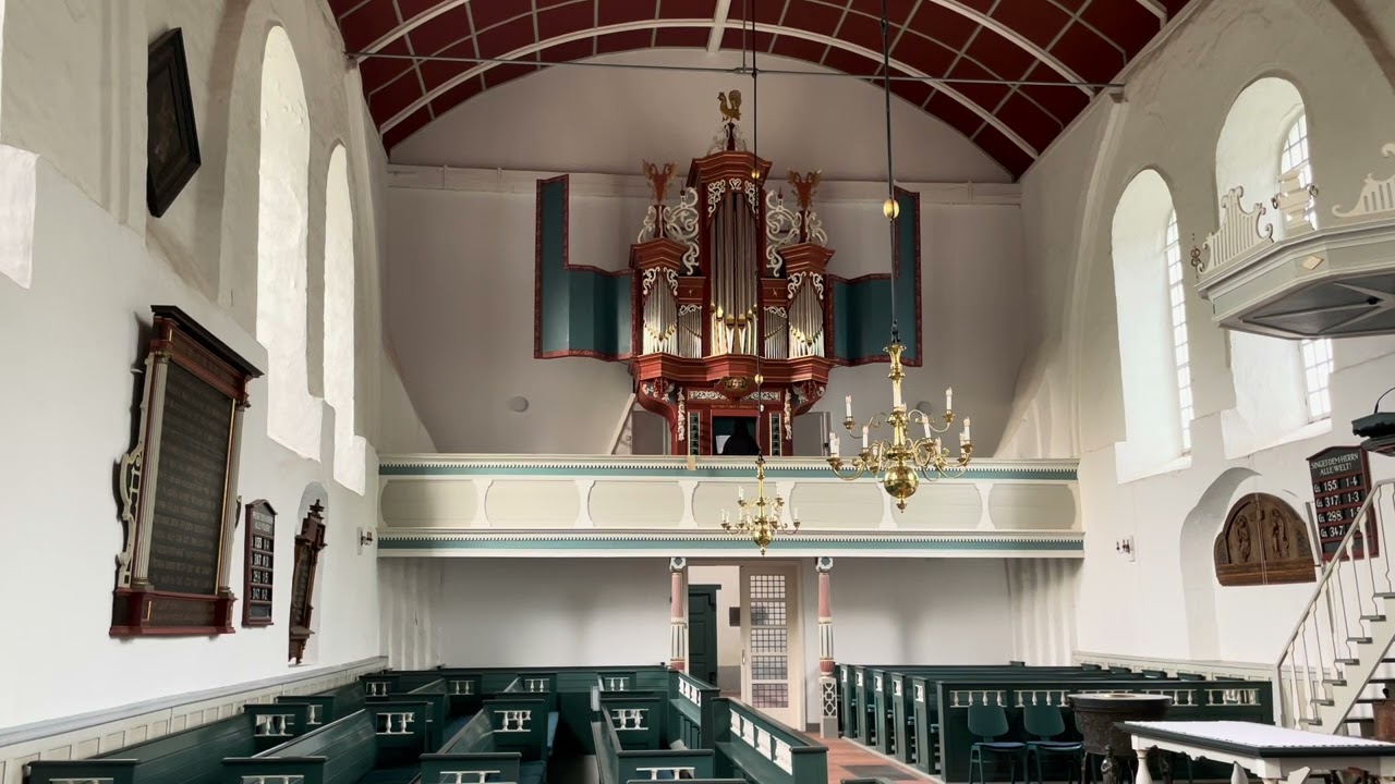 Alina Rotaru | CODEX CAIONI (c.1652–1671) Chorea polonica