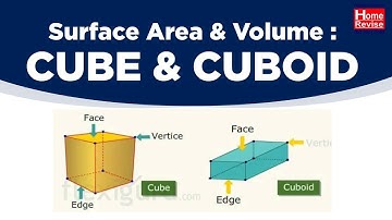 Surface Area & Volume of Cube & Cuboid | Class 9 – Maths | ICSE Board | Home Revise