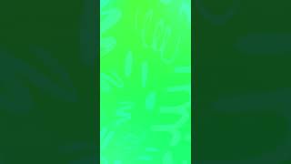 chole elam bondhura🍁🪷🌼🏵️🌻#highlight #youtube#livechannelcheckingandpromotion#shorts