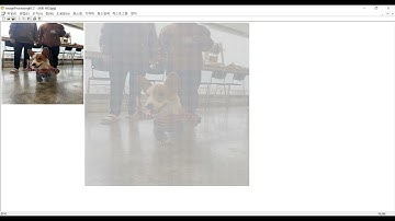 디지털 영상처리 using MFC(C++) 1/2