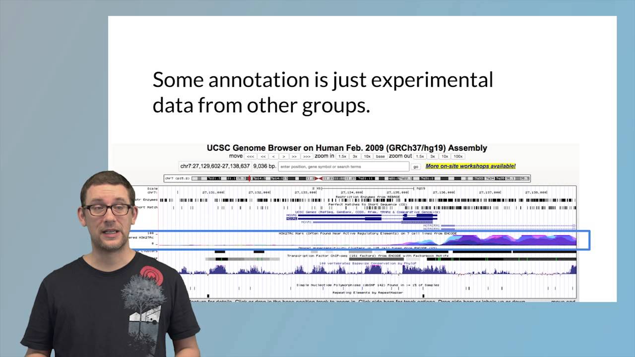 Annotation Overview v1