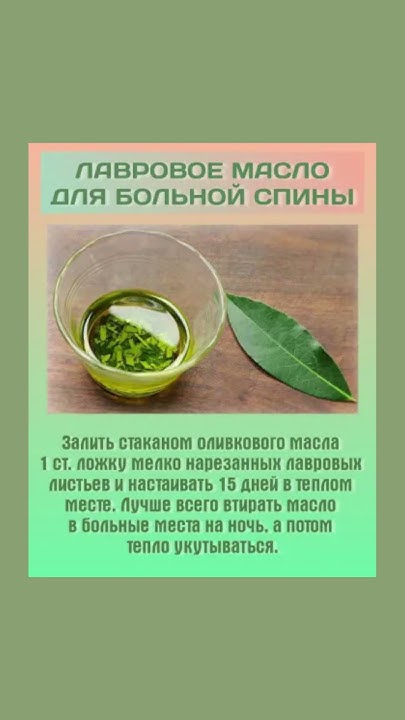 Лавровое масло для больной спины #спинаболит #лавровыйлист # ...