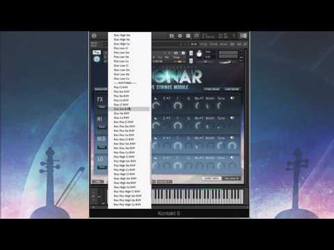 Gothic Instruments DRONAR Live Strings Walkthrough