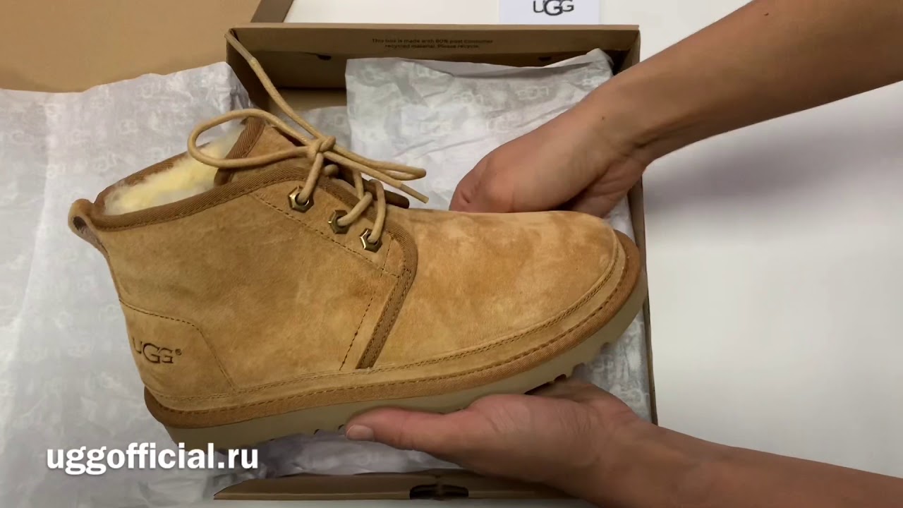 Распаковка и видеообзор женских Угг со шнурками UGG Neumel Chestnut