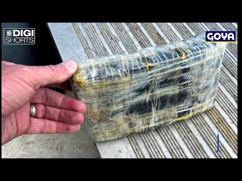 High school students find kilo of cocaine while picking up trash in Florida Keys