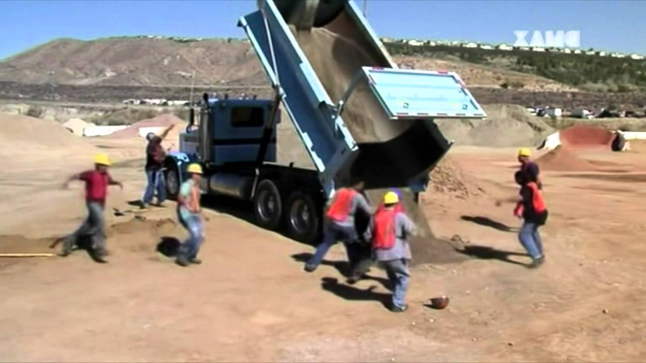 1000 Wege ins Gras zu beißen 