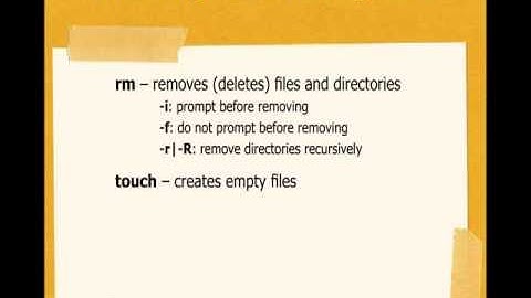 How to use the touch and rm Commands