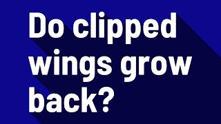 Do clipped wings grow back?
