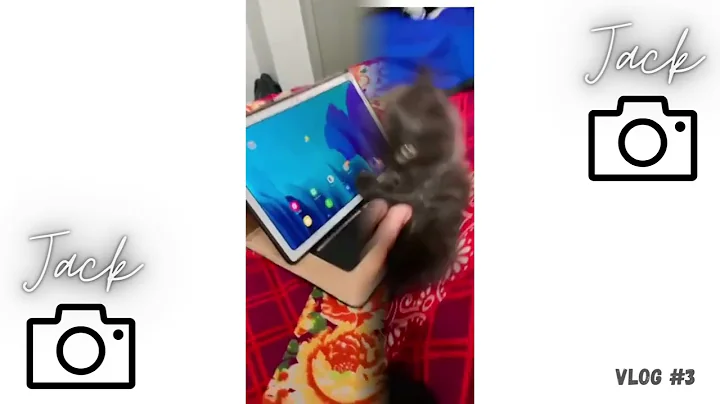 Watch the video about My Black Persian Cat Watches Cat Videos on Tablet and Plays with Me