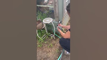 DIY Garden Hack: Installing a Hose Timer for Automatic Watering #homesteading #diygardening