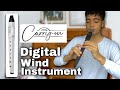 Introducing Carry-on Digital Wind Instrument | Tutorial &amp; Review Mp3 Song