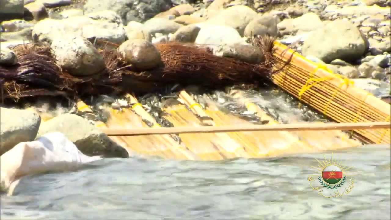 هواية صيد أسماك 