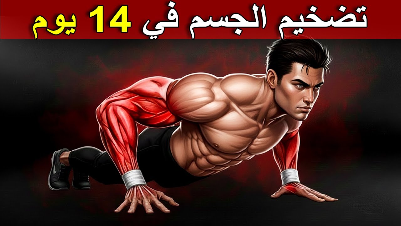 7 تمارين جبارة للمبتدئين لتضخيم الجسم بالكامل بسهولة من عمر 18 الي 60