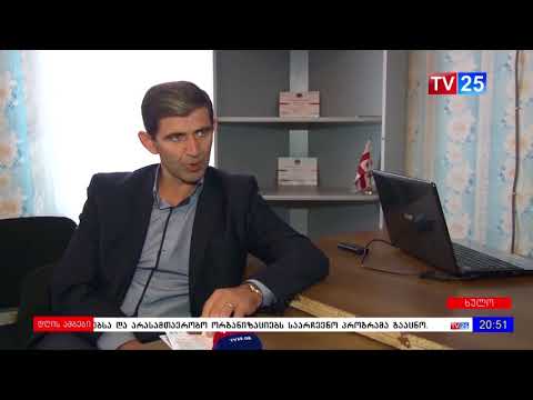 ენმ-ის საარჩევნო დაპირებები ხულოს მუნიციპალიტეტში