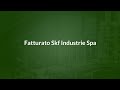 Fatturato SKF INDUSTRIE SPA