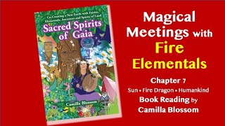 Magical Meetings With Fire Elemental Dragons Sun Consciousness Human Kind